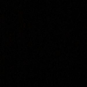 Meet your Posher, Allie